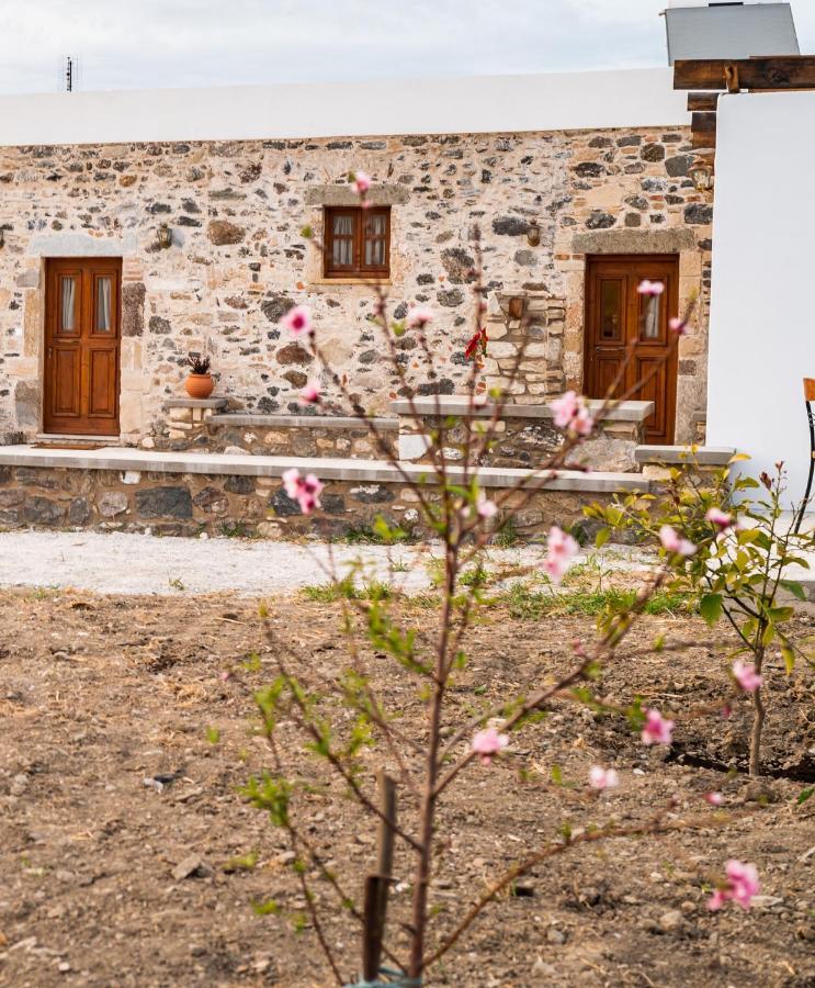 Paradisi Stone House Kos Town Exterior photo